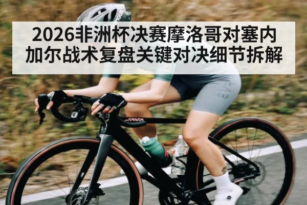 2026非洲杯决赛摩洛哥对塞内加尔战术复盘关键对决细节拆解